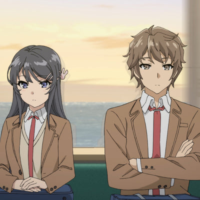 Rascal Does Not Dream of Bunny Girl Senpai