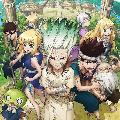 Dr. stone Dakimakura