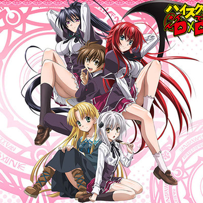 Almohada corporal High School DxD